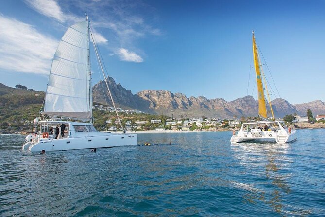 Catamaran Cruise in Cape Town - What the one-hour route can show you