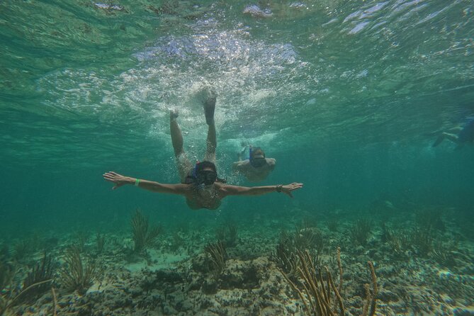 Catamaran Cruise in Riviera Maya With Snorkeling & Beach Club - Transport is the part to watch closely