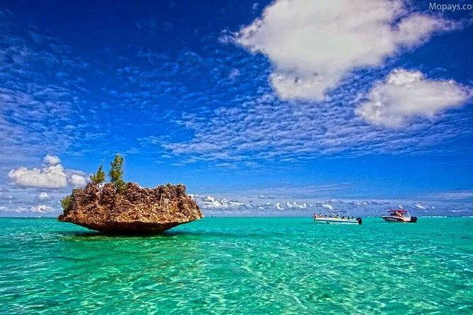 Catamaran Cruise to Ile Aux Bénitiers: Dolphin watch, Crystal Rock & Transfer - Swimming and snorkeling in the lagoon
