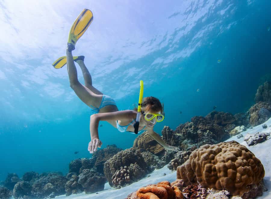 Catamaran cruise to Ile aux Cerfs from Pointe Jerome - Ile aux Cerfs and its famous white sand