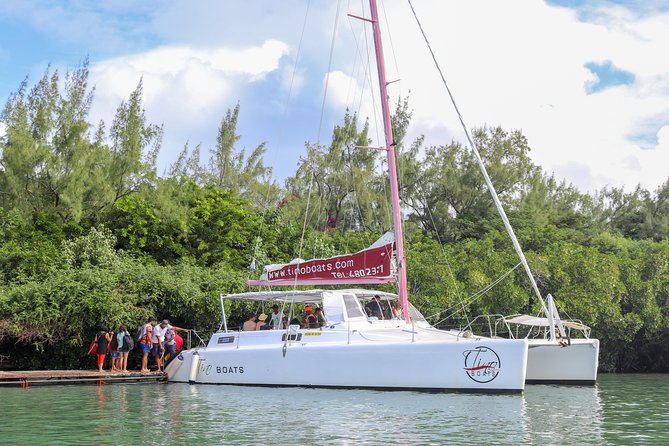 Catamaran cruise to Ile aux cerfs with bbq lunch - The GRSE waterfalls make a strong opening