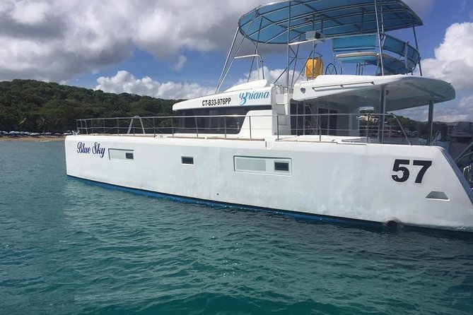 Catamaran Cruise with Snorkeling and lunch on board! - The two snorkeling stops and what to expect underwater
