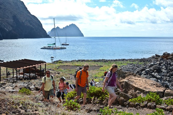 Catamaran Day Cruise to Desertas Islands from Funchal - Key points to know before booking