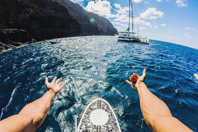 Catamaran Day Cruise to Desertas Islands from Funchal - Leaving Funchal at 9:00 am