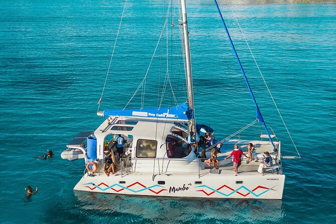Catamaran Day Sail - Key details before you book