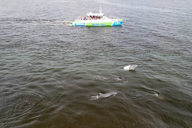Catamaran Dolphin Cruise in Myrtle Beach with Barrier Island Stop - Waties Island and the return route