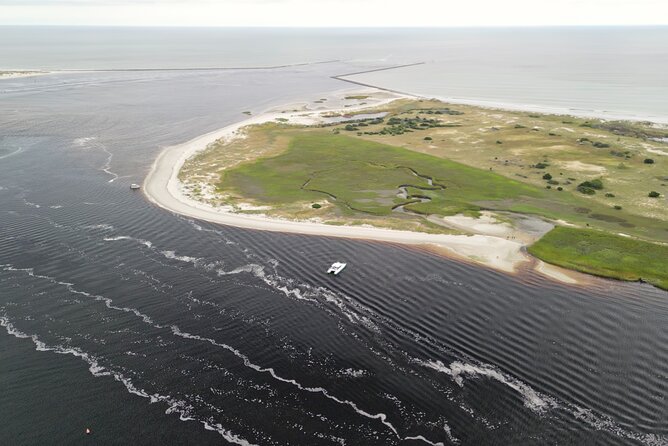 Catamaran Dolphin Cruise in Myrtle Beach with Barrier Island Stop - Who will enjoy this cruise most?