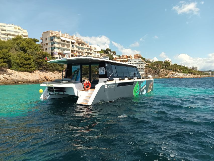 CATAMARAN ECO EXPERIENCE at Palma Bay - What the $1,825 price really means