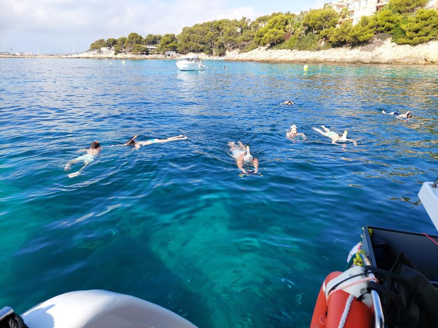 CATAMARAN ECO EXPERIENCE at Palma Bay - The people who make the outing work