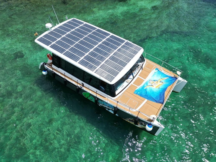 CATAMARAN ECO EXPERIENCE at Palma Bay - Leaving from Real Club Náutico de Palma