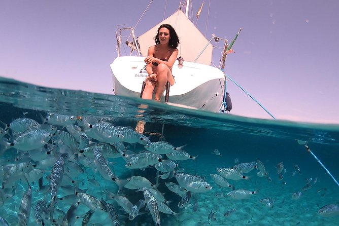 Catamaran excursions in the Asinara island National park - Weather, route changes, and the half-day option