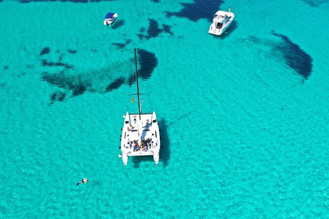 Catamaran excursions in the Asinara island National park - Who will enjoy this most