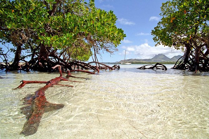 Catamaran Experience to Ile aux cerf: incl: Parasailing, Lunch, GRSE & Transfer - Why this Ile aux Cerfs day works well