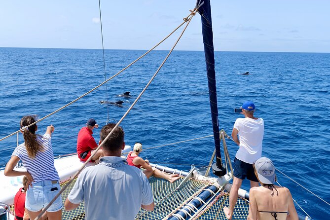 Catamaran Half Day - Beautiful day on the Atlantic Ocean - Swimming, snorkeling, and the underwater stop