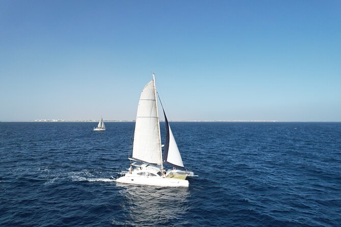 Catamaran Half Day - Beautiful day on the Atlantic Ocean - Dolphins, flying fish, turtles, and whales