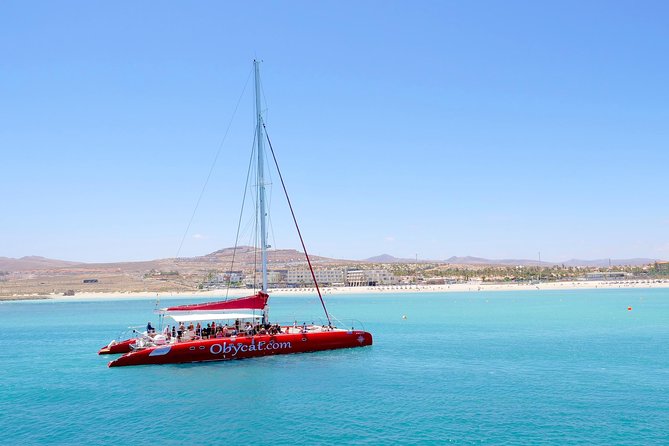 Catamaran Half-Day Cruise from Caleta de Fuste - Music, Singing, and the Party Mood