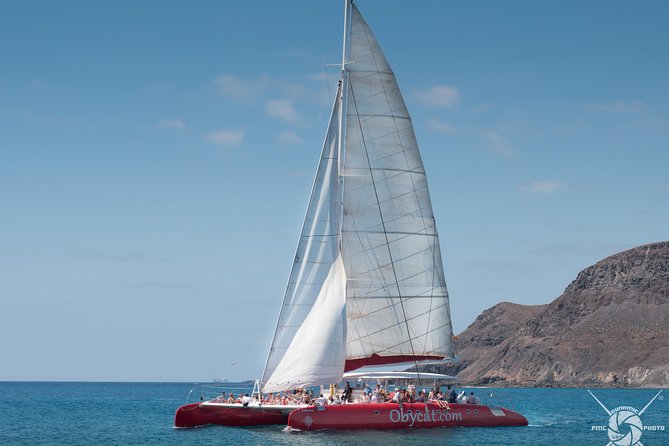 Catamaran Half-Day Cruise from Caleta de Fuste - Is the Caleta de Fuste Catamaran Cruise Worth Booking?