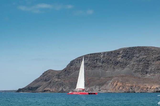 Catamaran Half-Day Cruise from Caleta de Fuste - Paella, Salad, Dessert, and an Open Bar
