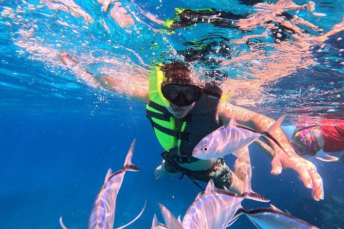 Catamaran in Cozumel with snorkeling at El Cielo and open Bar - The First Reef Stop: 35 Minutes in the Water