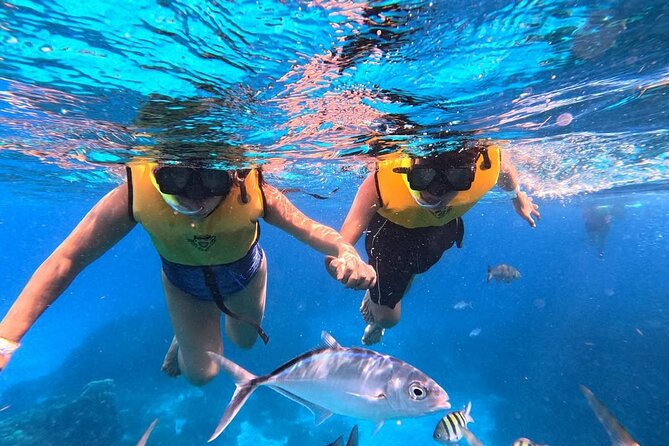 Catamaran in Cozumel with snorkeling at El Cielo and open Bar - Is the $38.50 Price a Good Deal?