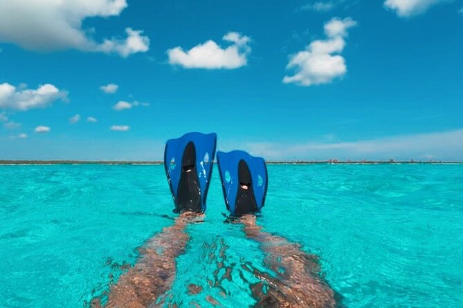 Catamaran in Cozumel with snorkeling at El Cielo and open Bar - Finding the Meeting Point in Central Cozumel