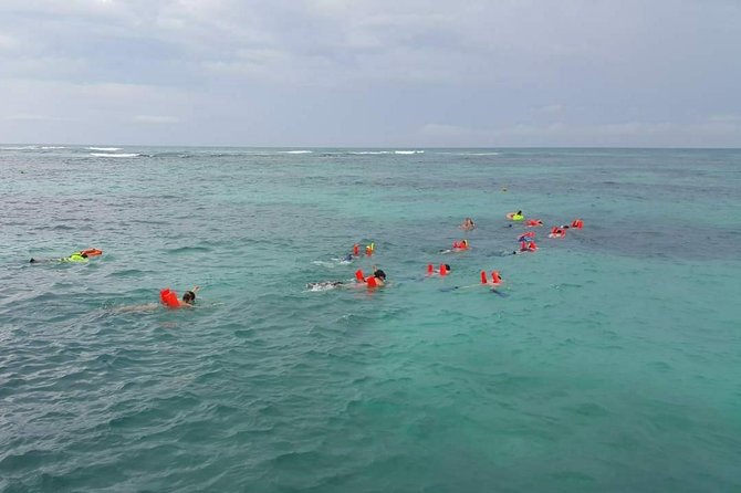 Catamaran Isla Mujeres Unlimited Departing from Playa del Carmen - Snorkeling at El Meco depends on the weather
