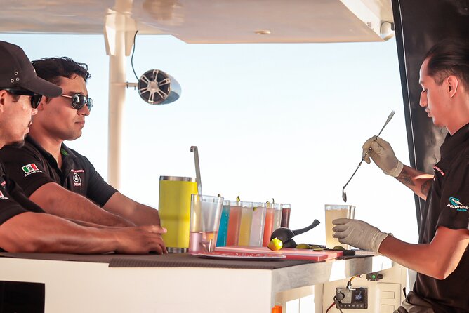 Catamaran - Luxury Private Tour - Cocktails, beer, soft drinks, and the party pace