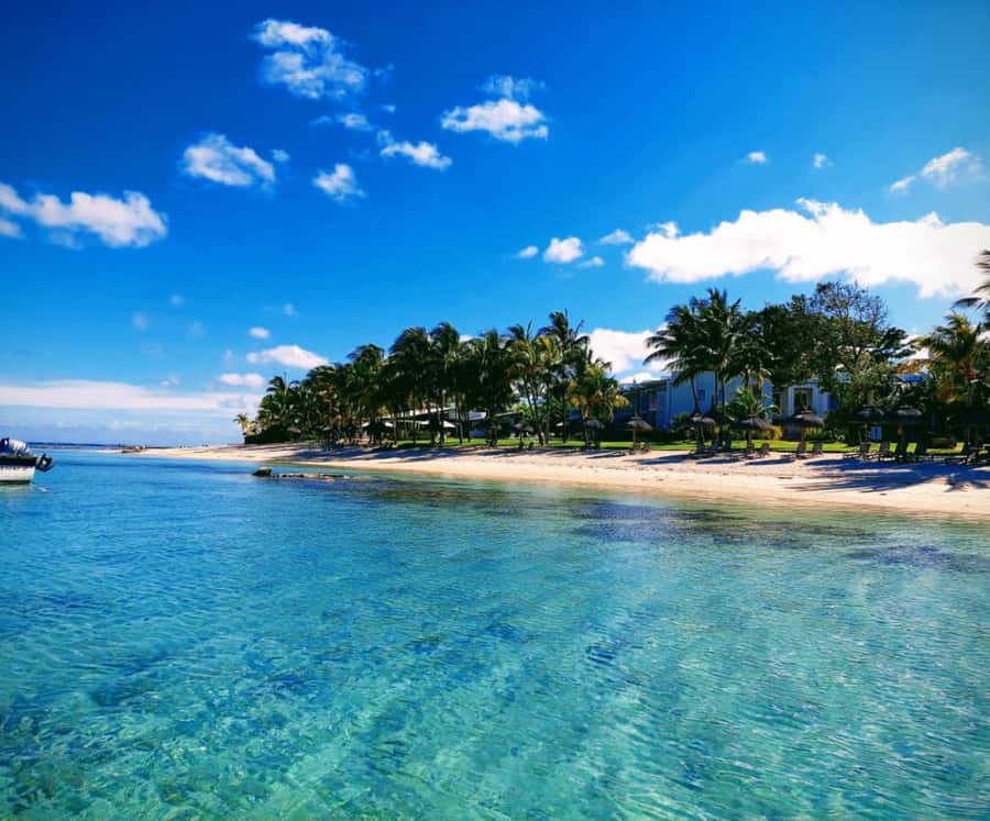Catamaran Mauritius Cruise in the North Coasts - BBQ lunch served on the catamaran