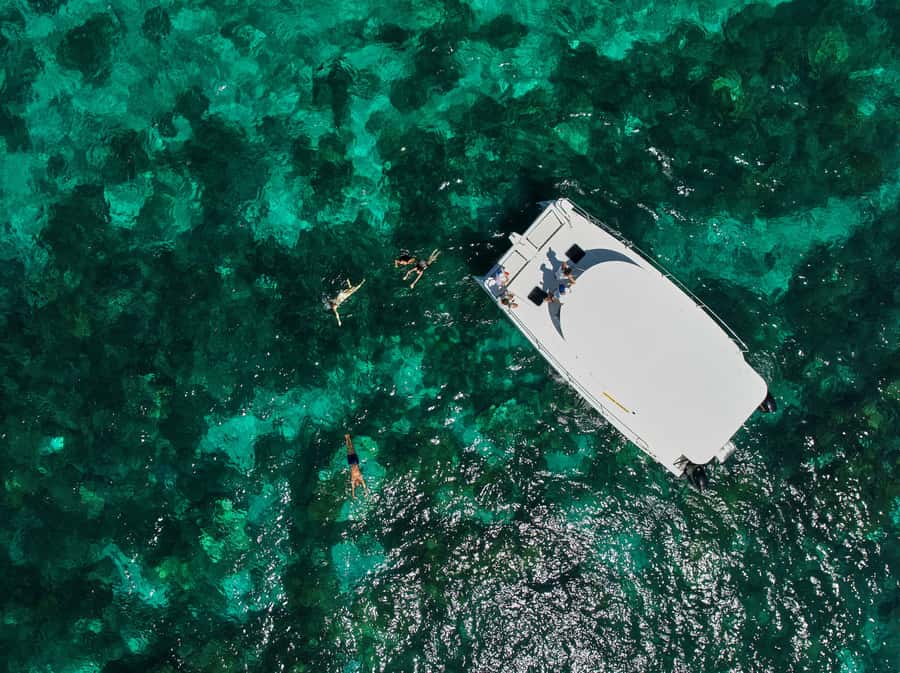 Catamaran Mauritius: South East 5 Islands Catamaran Cruises - Snorkeling at Eau Bleue