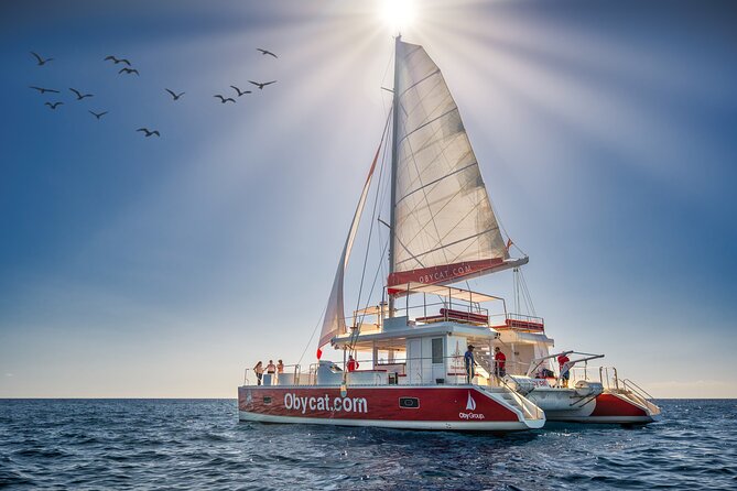 Catamaran Obycat Gran Canaria Tour - Key points to know before booking