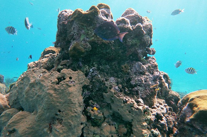 Catamaran Party Cruise with Snorkeling & BBQ - The two snorkeling stops near Sosua