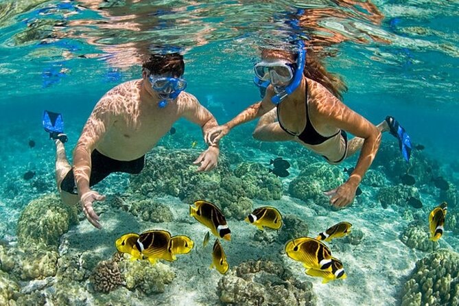 Catamaran Party in Punta Cana Includes Drink and Transportation - Starting the afternoon with music and drinks