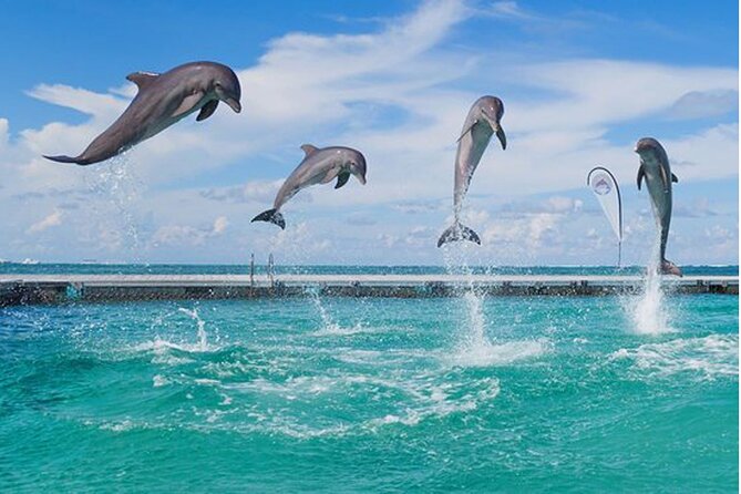 Catamaran Party in Punta Cana with Unlimited Drinks - Is $65 a fair price?