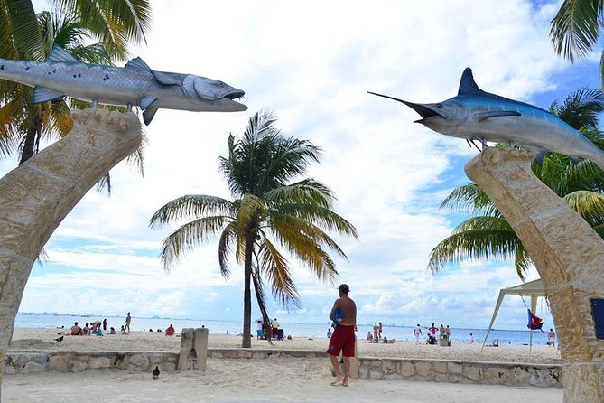 Catamaran Party on the Caribbean Sea to Isla Mujeres - Who should book this catamaran day?