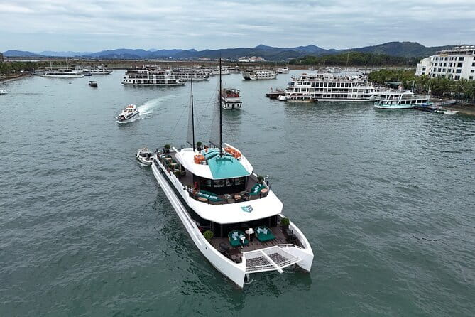 Catamaran Premium Cruise to Halong Bay & Lan Ha Bay in 1 Day Tour - Key points before you book