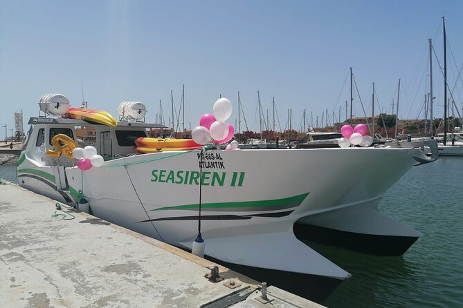 Catamaran Private Tour - Benagil & Marinha Beach - (28 PAX) - Key points to know before booking