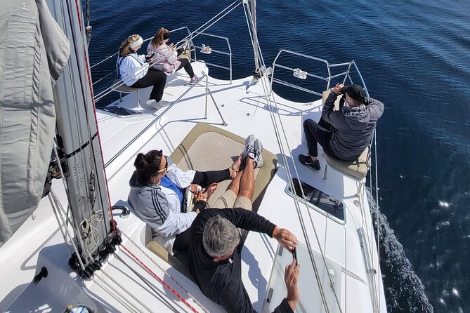 Catamaran Sailing Cruise in Monterey - Key points to know before you sail