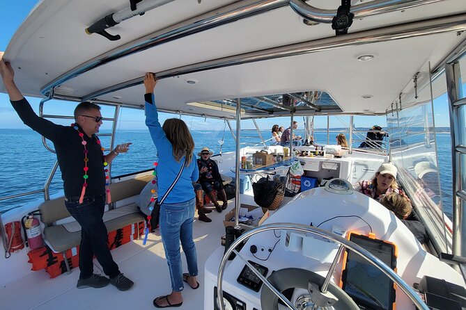 Catamaran Sailing Cruise in Monterey - Wildlife watching without false promises