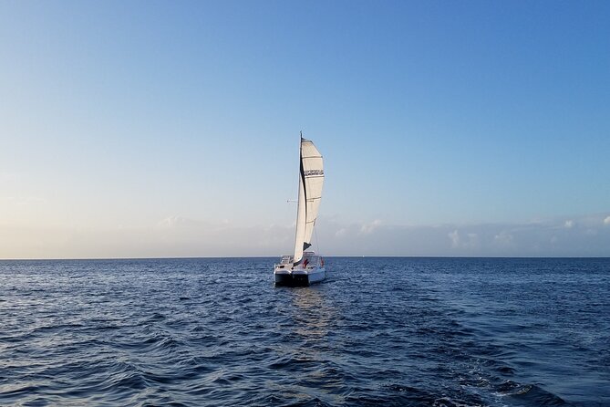 Catamaran Sailing Cruise in Monterey - Who will get the most from this cruise