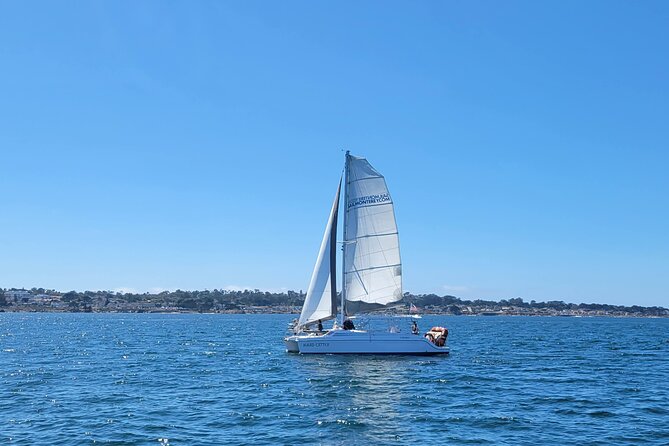 Catamaran Sailing Cruise in Monterey - Timing, meeting point, and cancellation protection