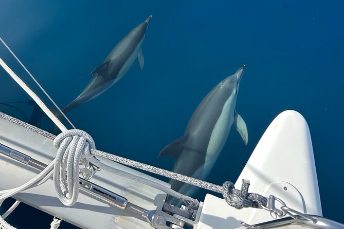 Catamaran Sailing Experience Manilva Tapas Drink Dolphins Swim Stop - Key points to know before booking