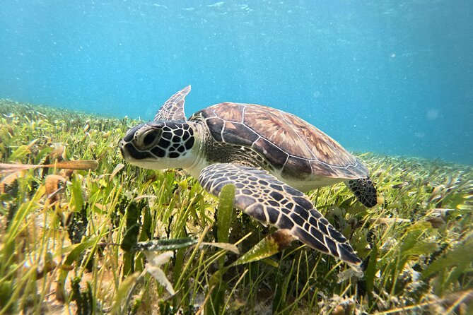 Catamaran Sailing to Isla Mujeres From Cancun - A few practical choices before you go