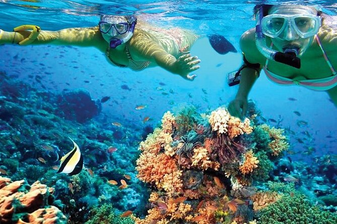 Catamaran Sailing to Isla Mujeres with Snorkeling, Lunch & Open Bar included - The crowd, the crew, and the overall mood