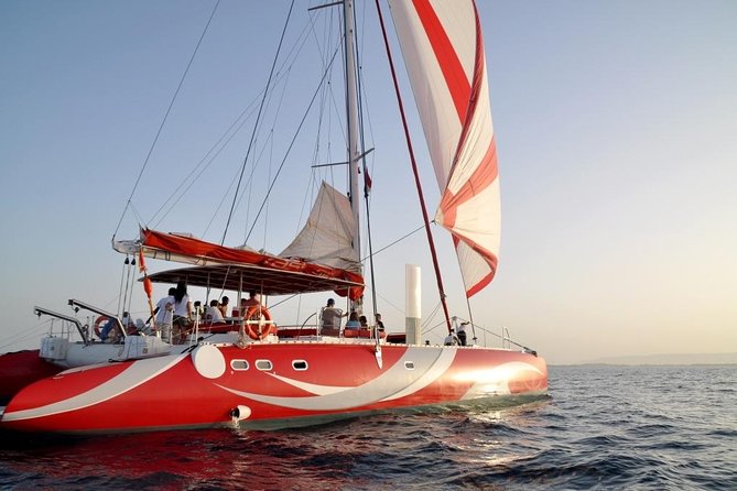 Catamaran Sailing Tour - Key points to know before booking