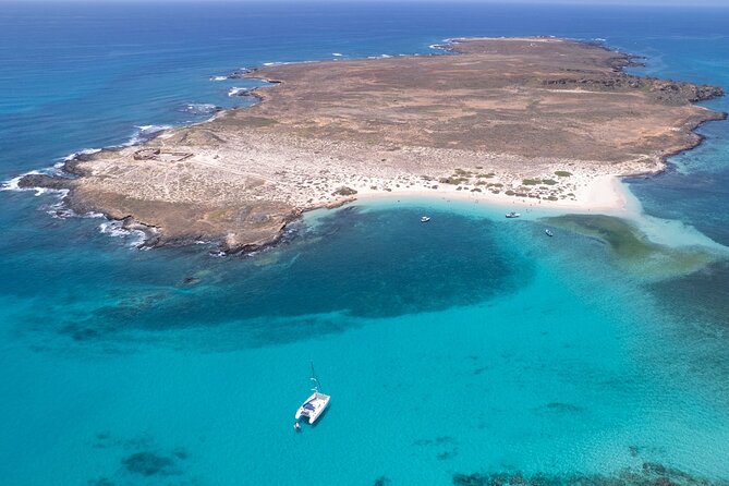 Catamaran Sailing Tour or Whale Watching at Boa Vista - Sailing Across Sal Rei Bay