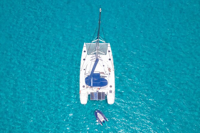 Catamaran Sailing Tour or Whale Watching at Boa Vista - Price, Timing, and Practical Value