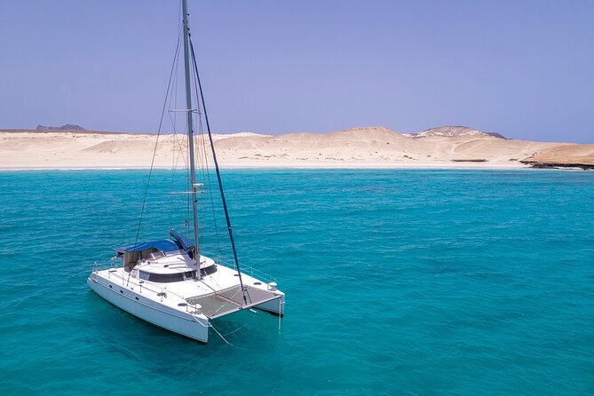 Catamaran Sailing Tour or Whale Watching at Boa Vista - Should You Book the CatVerde Catamaran?