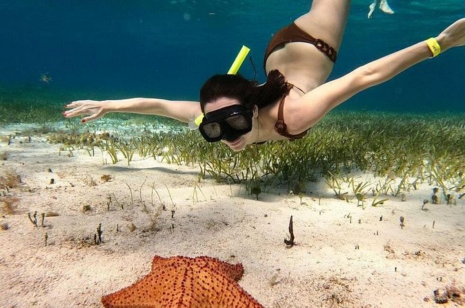 Catamaran Sky Tour in Cozumel - A private boat day with a party soundtrack