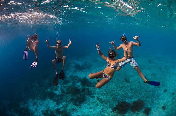 Catamaran Snorkel & BBQ Sail (cruise friendly) - An open bar with a broad drink list
