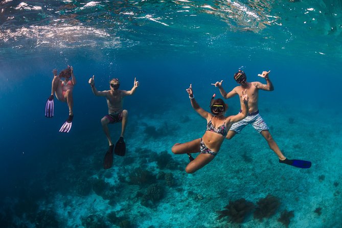 Catamaran Snorkel & BBQ Sail (cruise friendly) - Timing, meeting point, and cruise-day advice